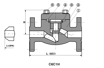 forged steel check valve